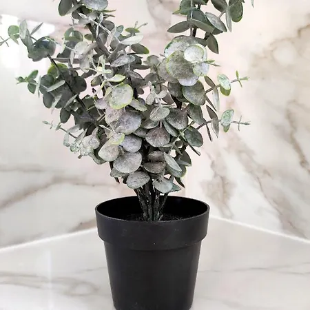 Sea Harmony Апарт-отель Калаф