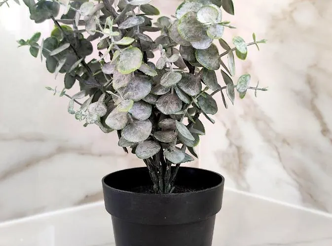 Sea Harmony Hotel de apartamente Kalathos